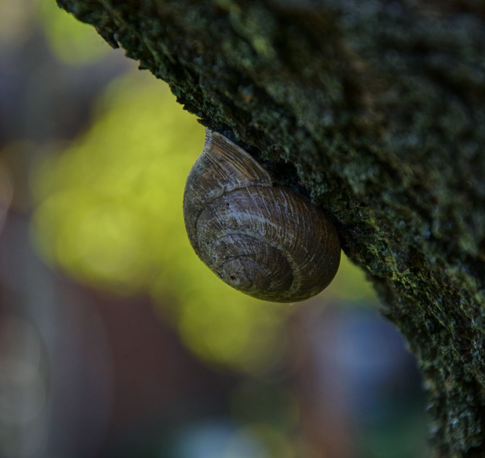 Photograph by Mikhail Kolesnik