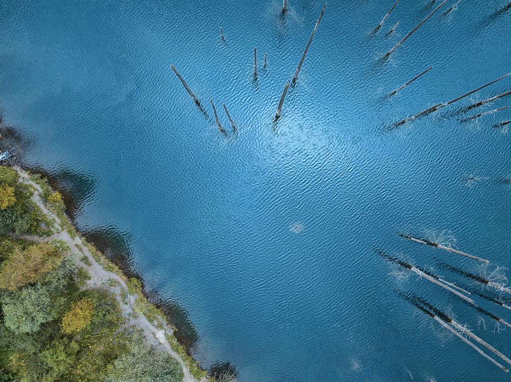 Photograph by Yelena Shander