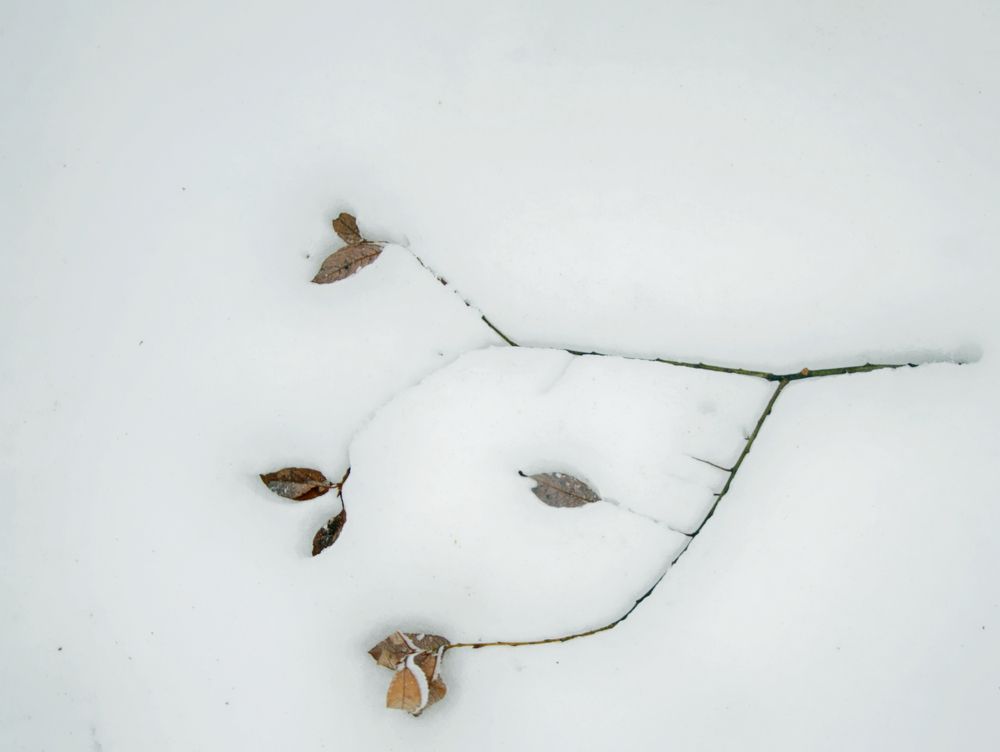 Photograph by Mikhail Kolesnik