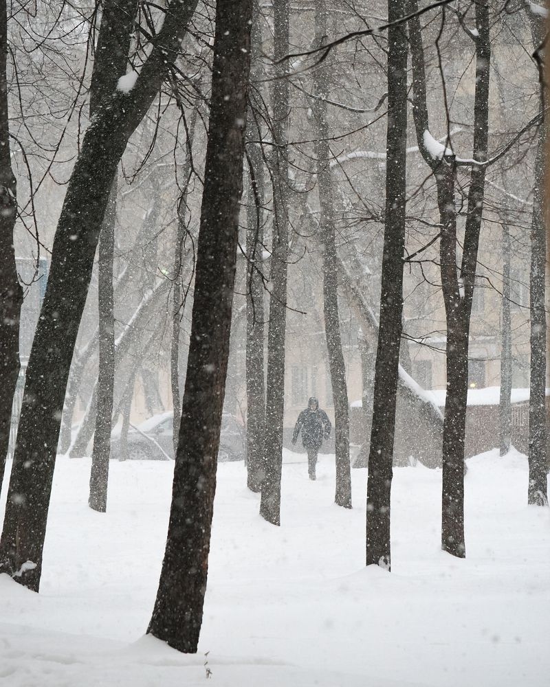 Фотография автора Федор Горбатов