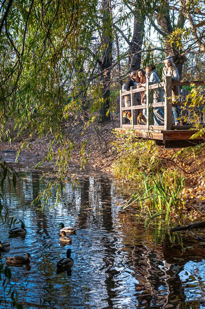 Photograph by Vladimir  Komarov