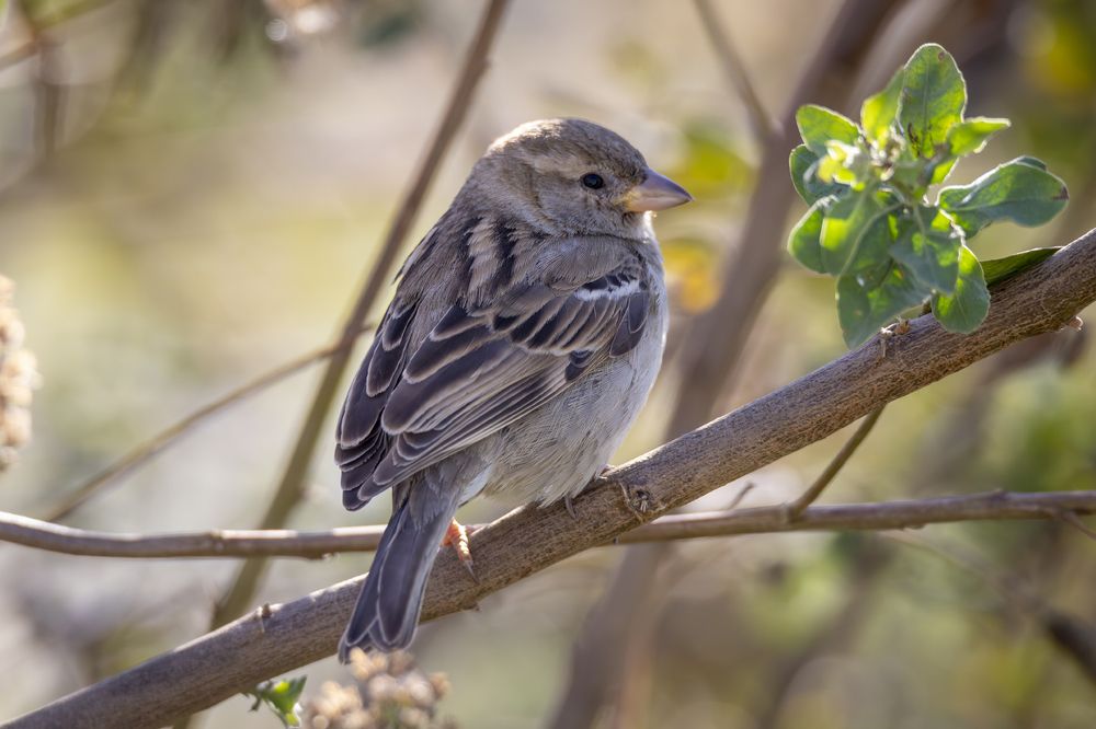 Фотография автора Nikolay Tatarchuk