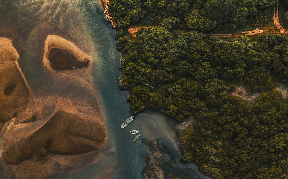 Фотография автора Shiloh García