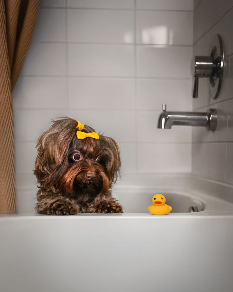 Фотография автора Eugenia Tuzova