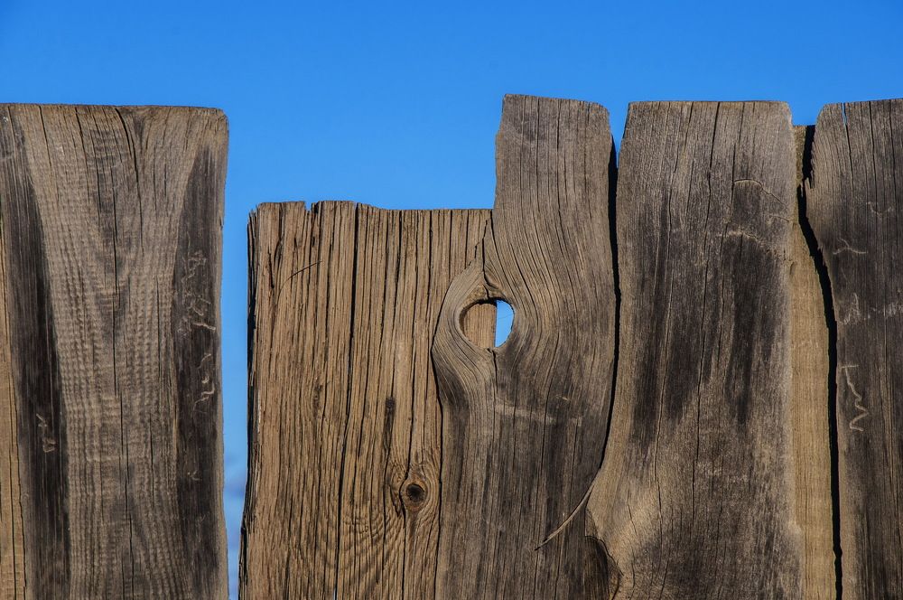 Photograph by Ольга Шуякова