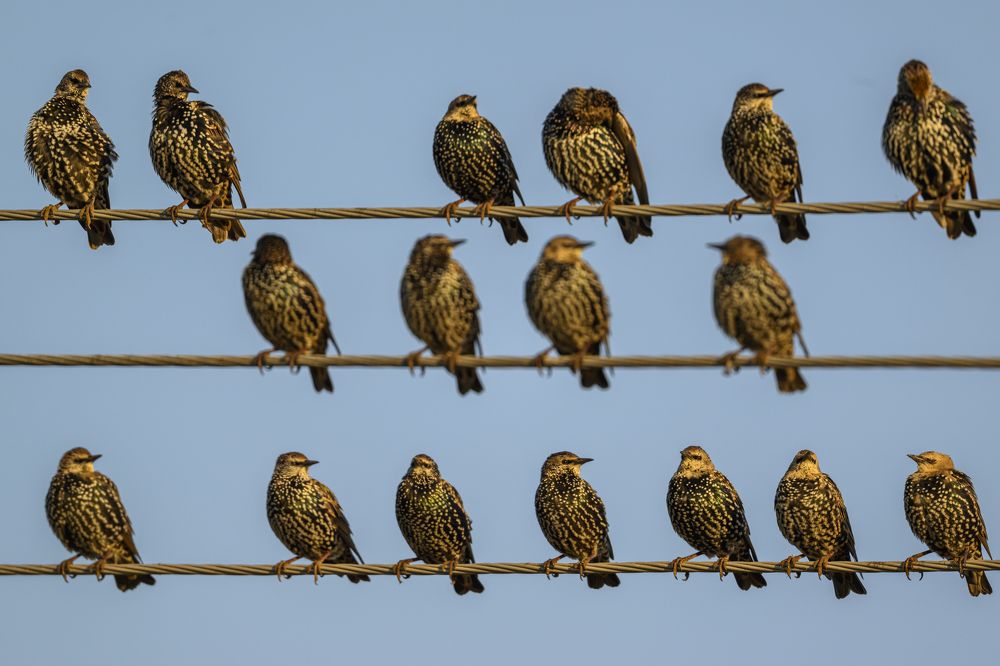 Photograph by Пупонин Сергей