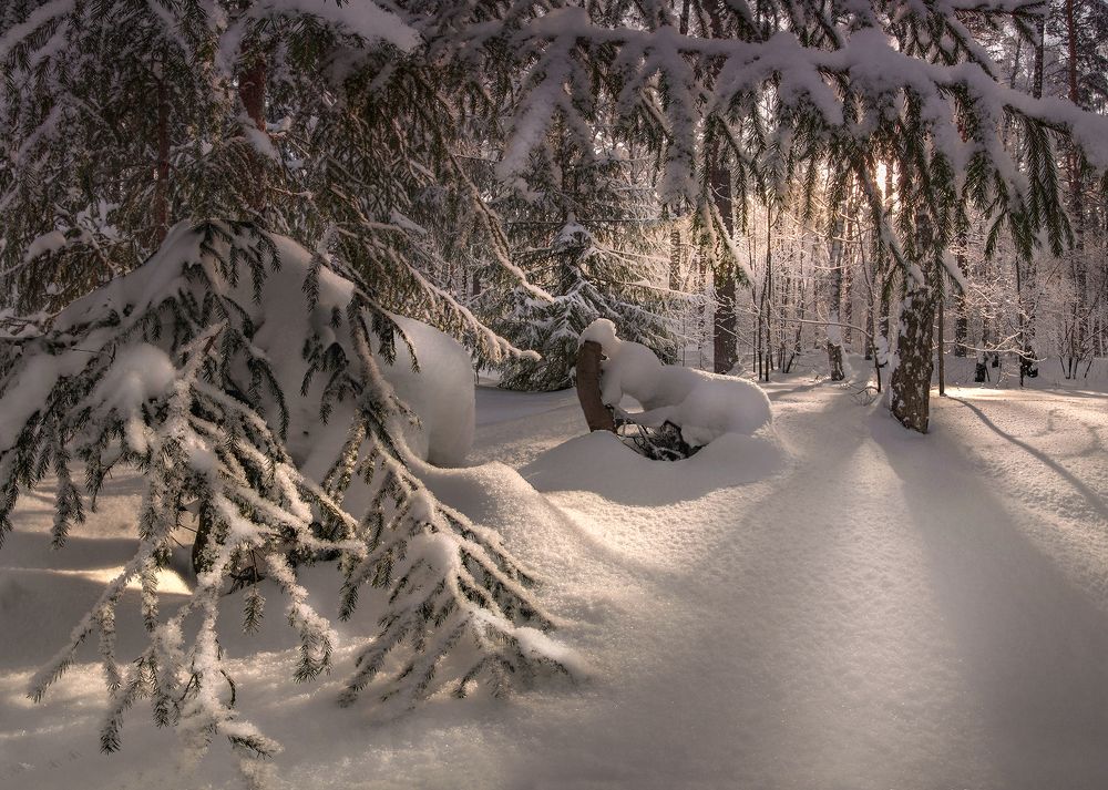 Photograph by Чичкин Валерий