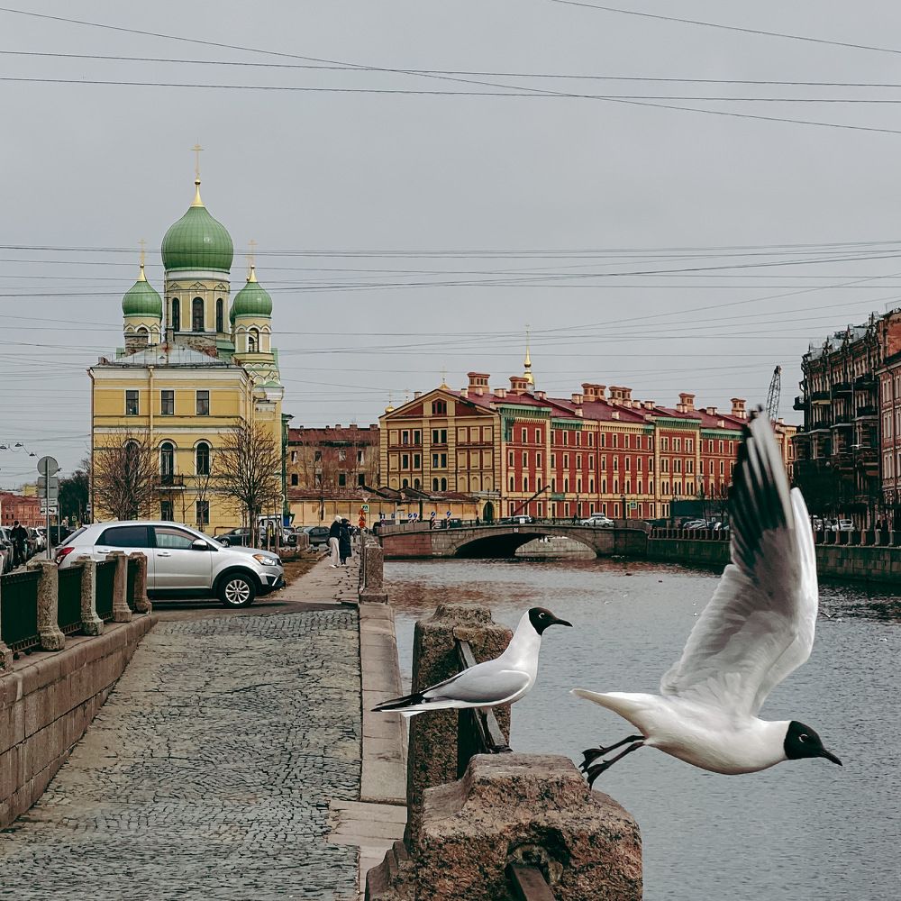 Photograph by Анна Титова