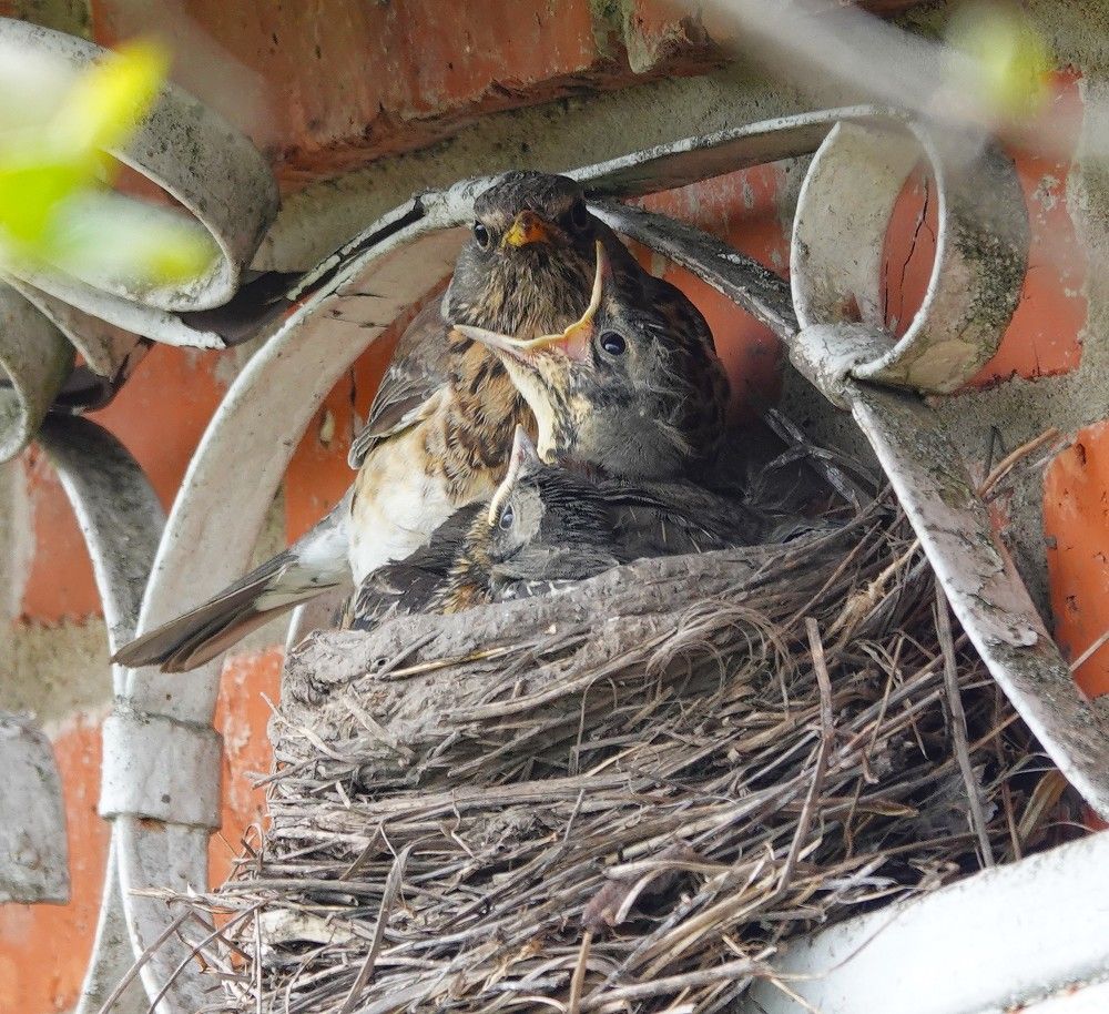 Photograph by Zakharov Matvey