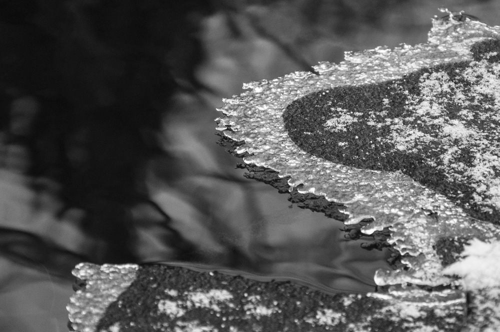 Photograph by Ольга Шуякова