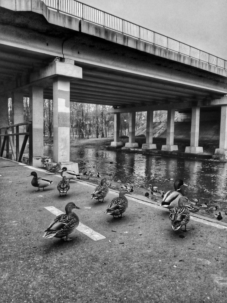 Photograph by Ирина Ермакович