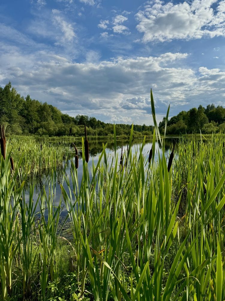 Photograph by Оксана Малышева