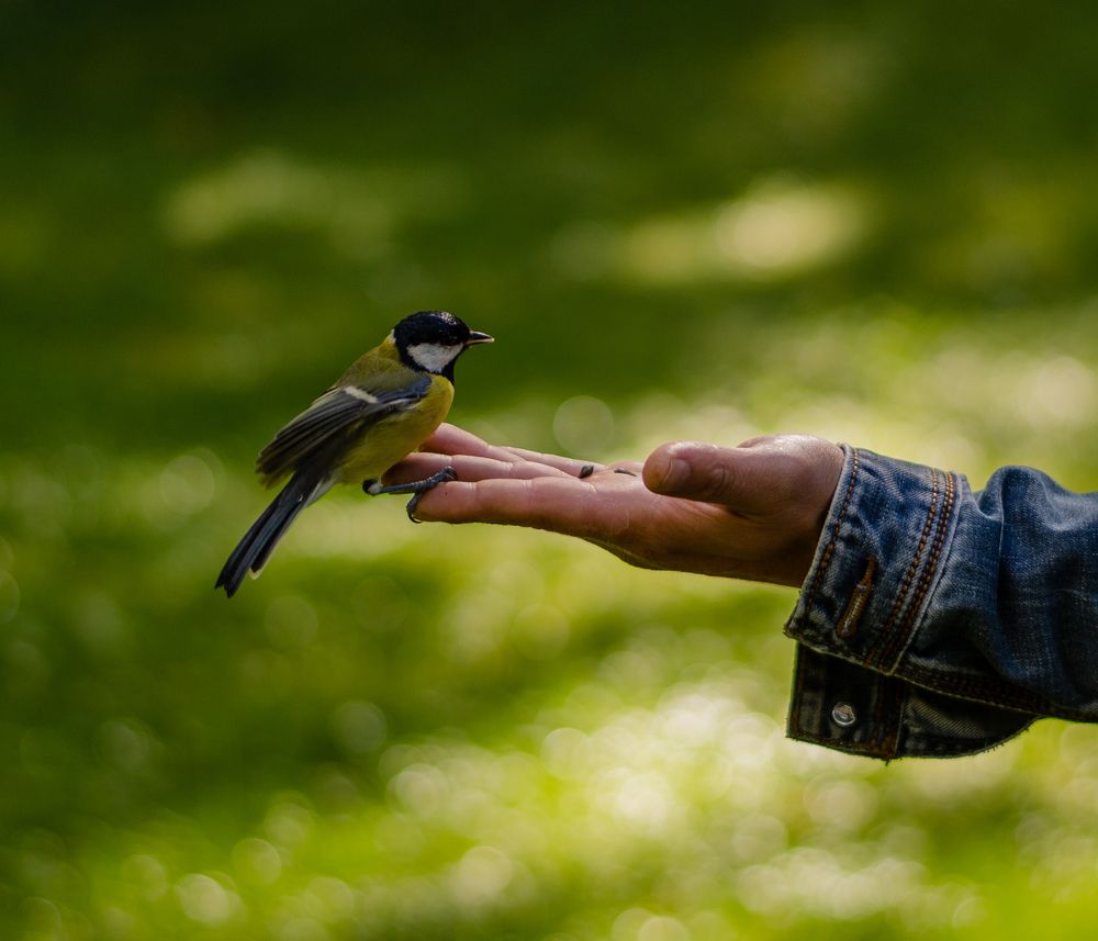 Photograph by Наталья Ульянова
