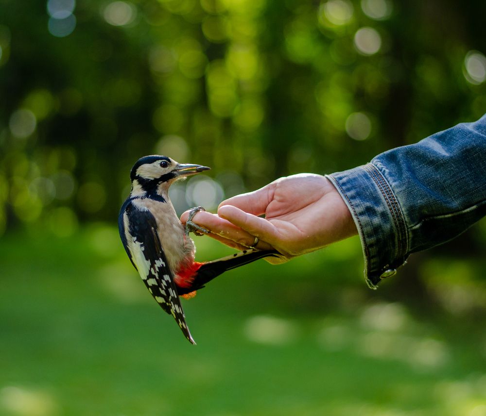 Фотография автора Наталья Ульянова