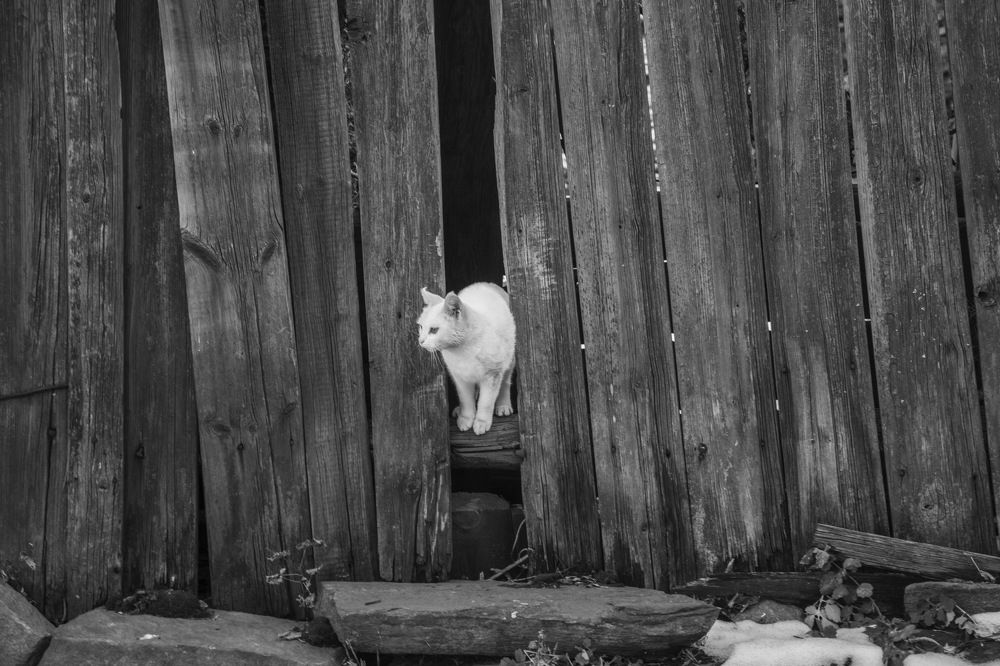 Photograph by Ольга Шуякова