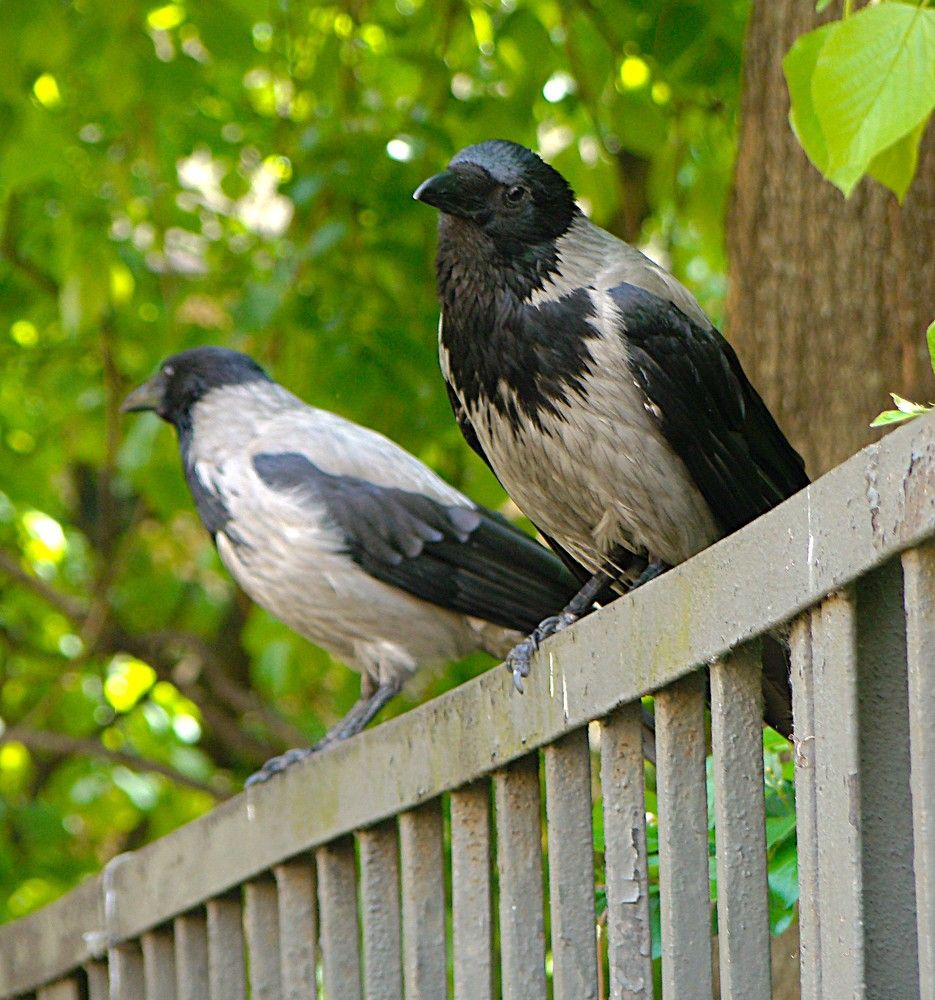 Photograph by Zakharov Matvey