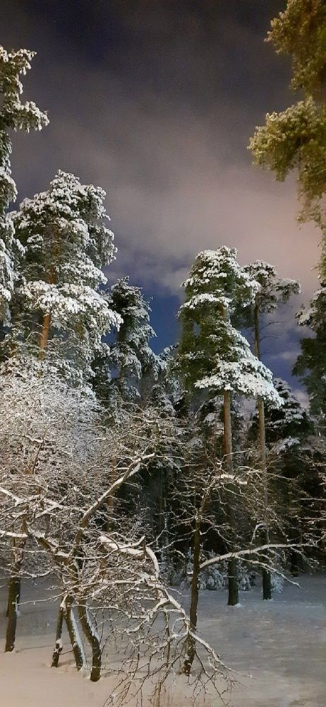 Photograph by Ирина Ильина