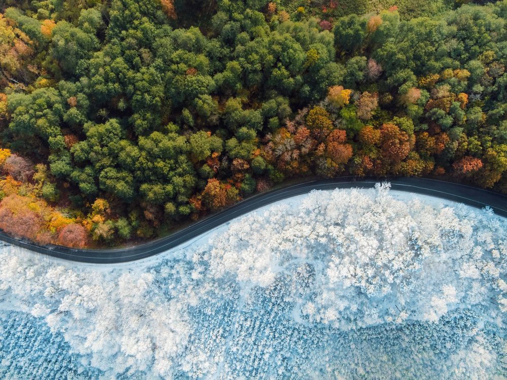 Photograph by Ольга Роленчино