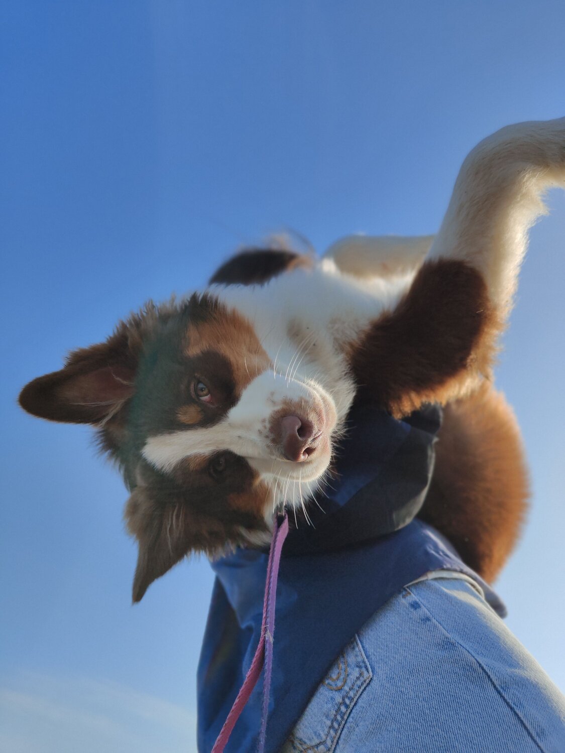 Photo #11755601