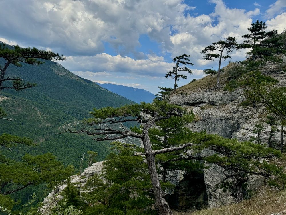 Photograph by Оксана Малышева