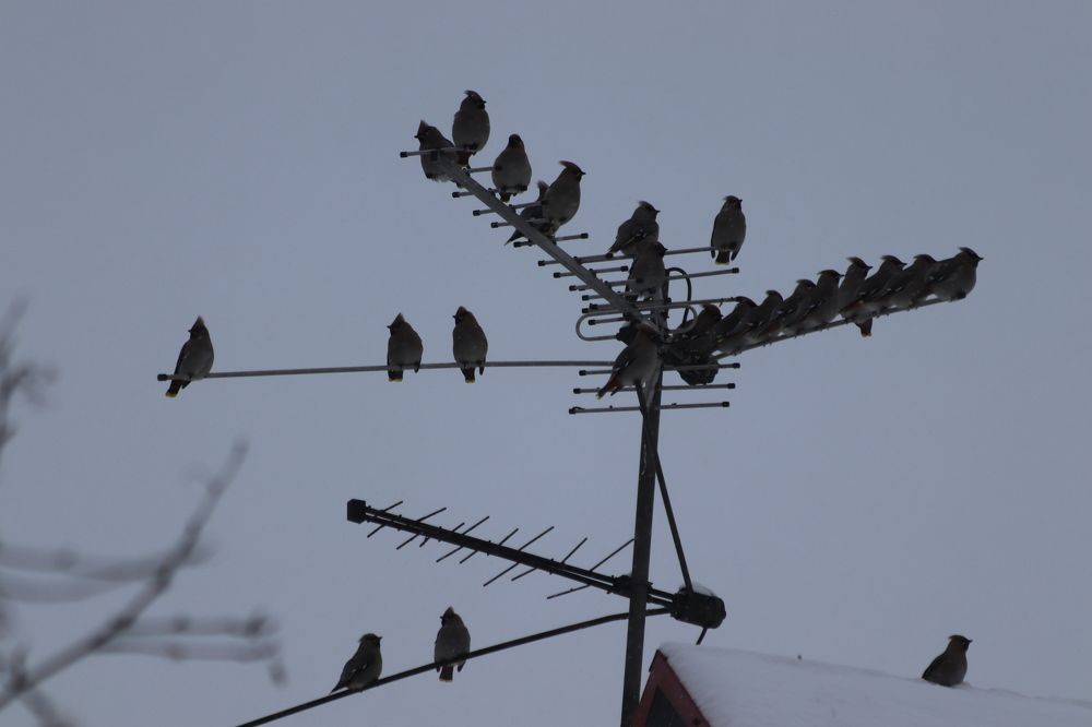 Photograph by Елена Иванкина