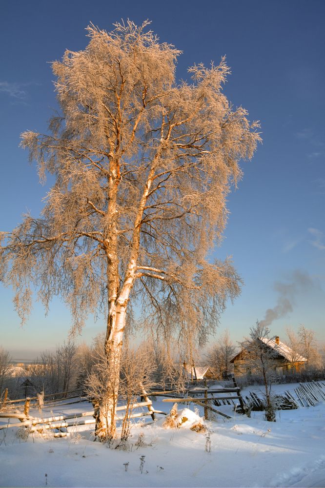 Photograph by ARTEM KORZHUKOV