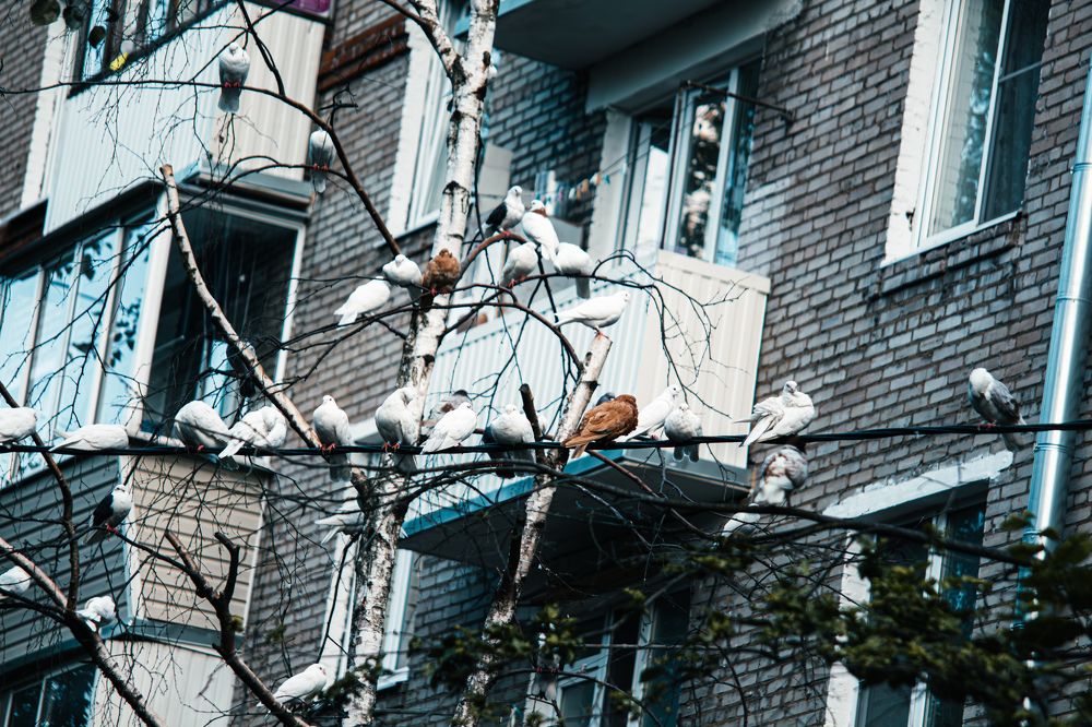 Фотография автора Алина Руденко