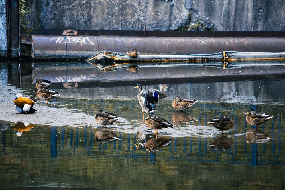 Фотография автора Алина Руденко
