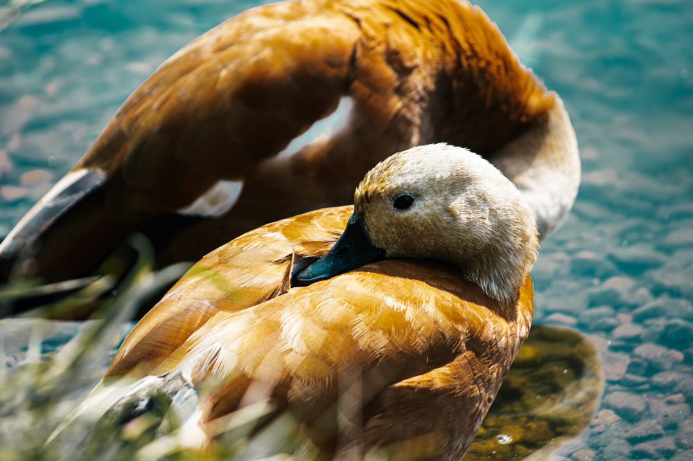 Фотография автора Алина Руденко