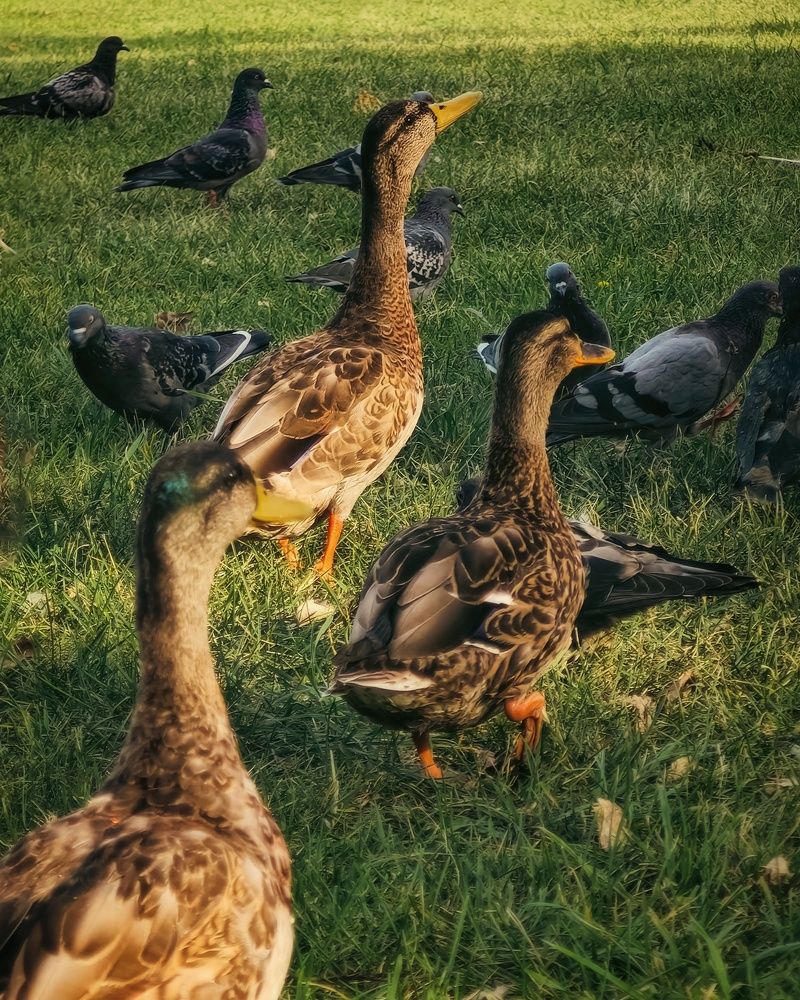 Photograph by Татьяна Соколовская