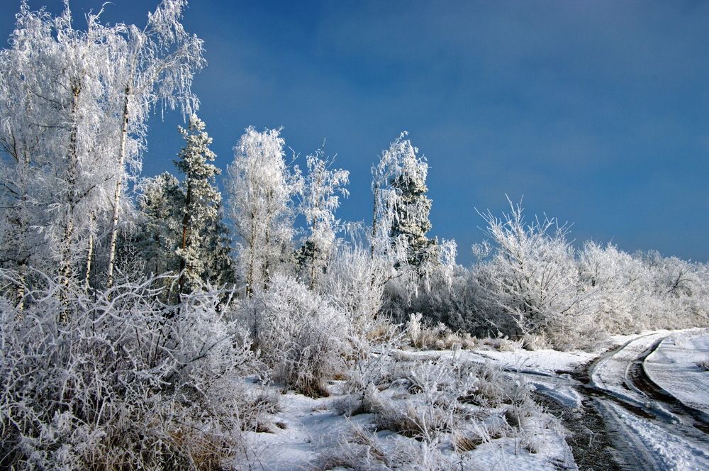 Photograph by Анатолий Святой