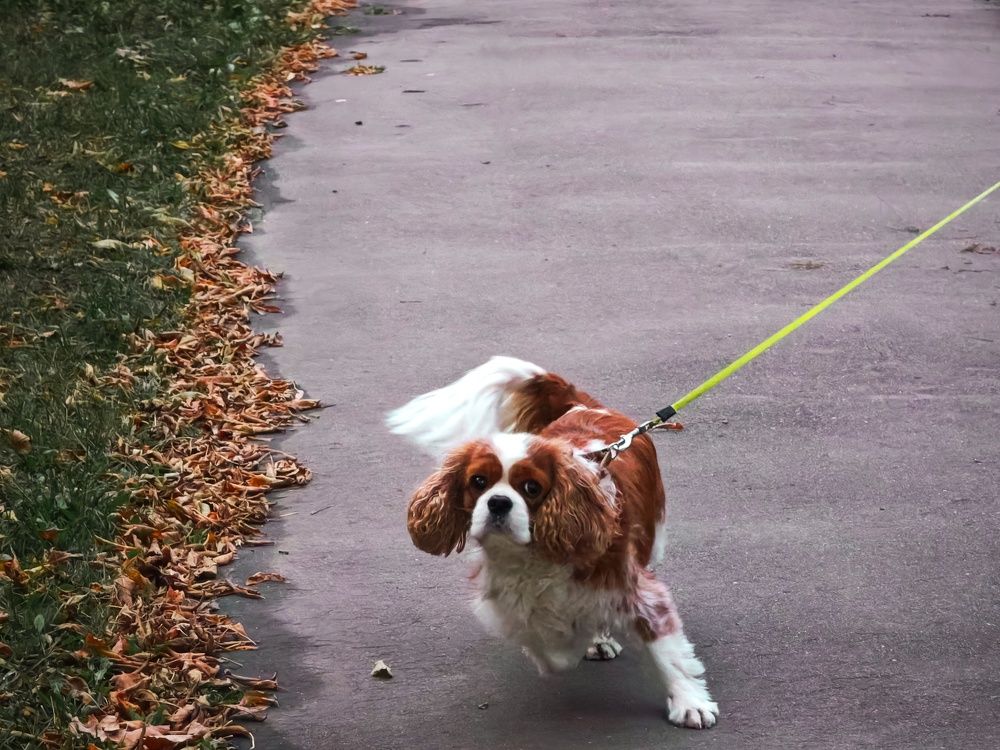 Photograph by Татьяна Соколовская