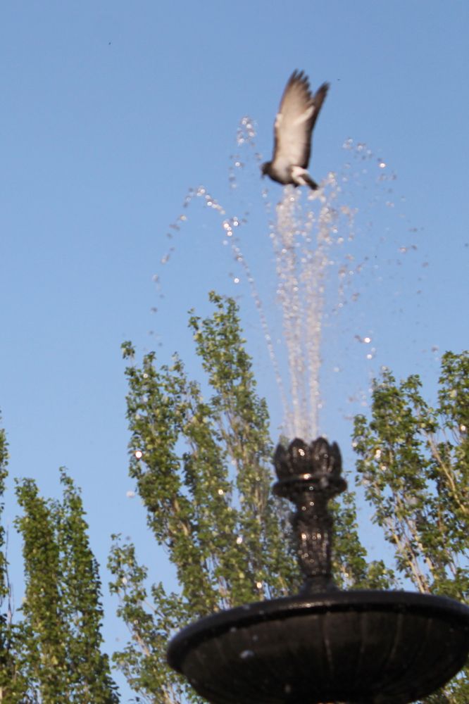 Фотография автора Александр Рябцев