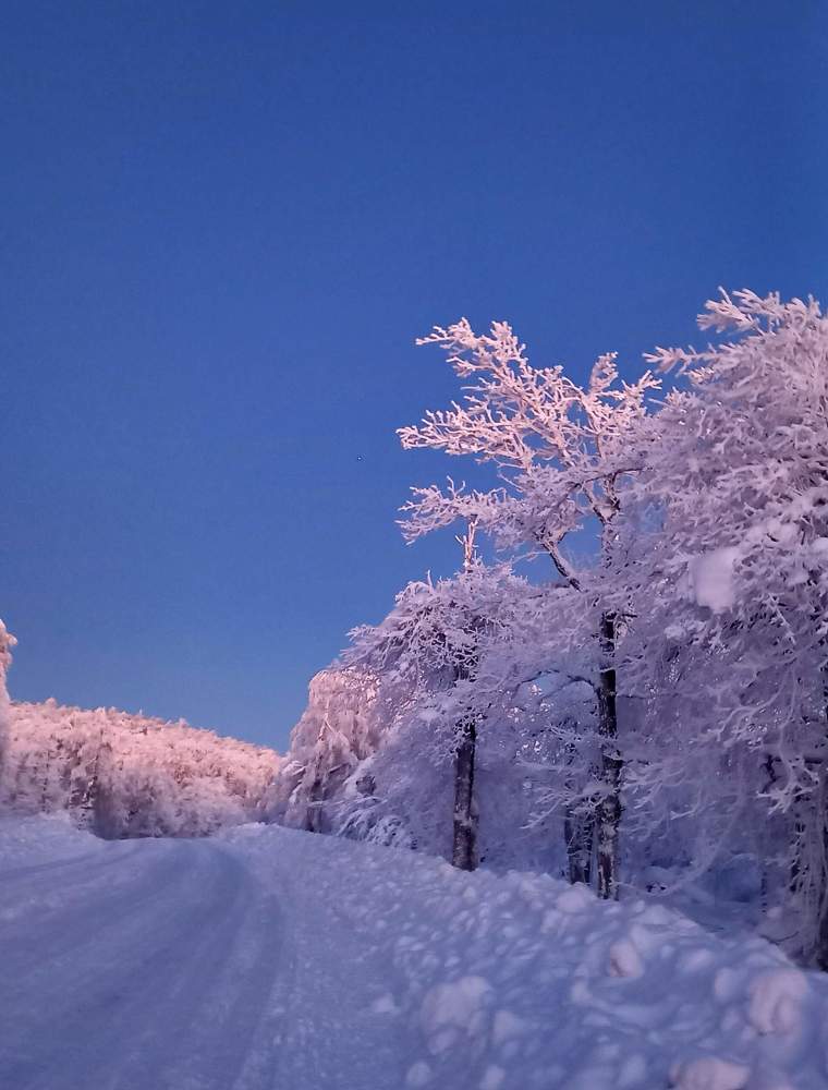 Photograph by Назмутдинова Сауия