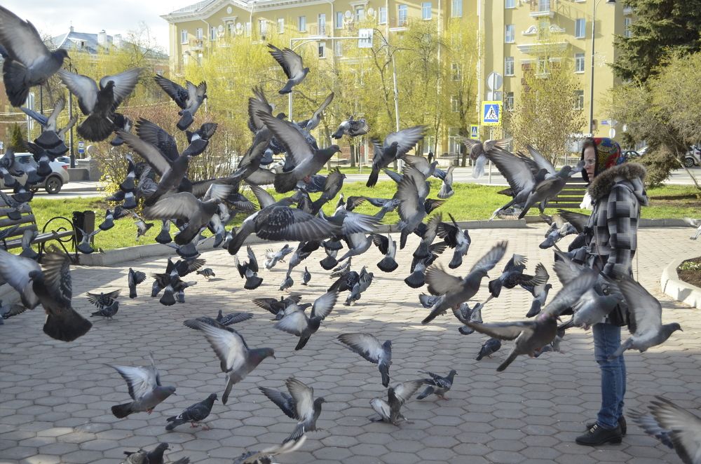 Фотография автора Алексей Власов