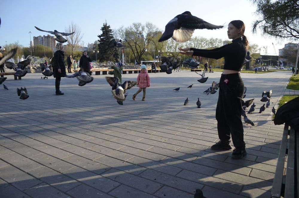 Фотография автора Алексей Власов