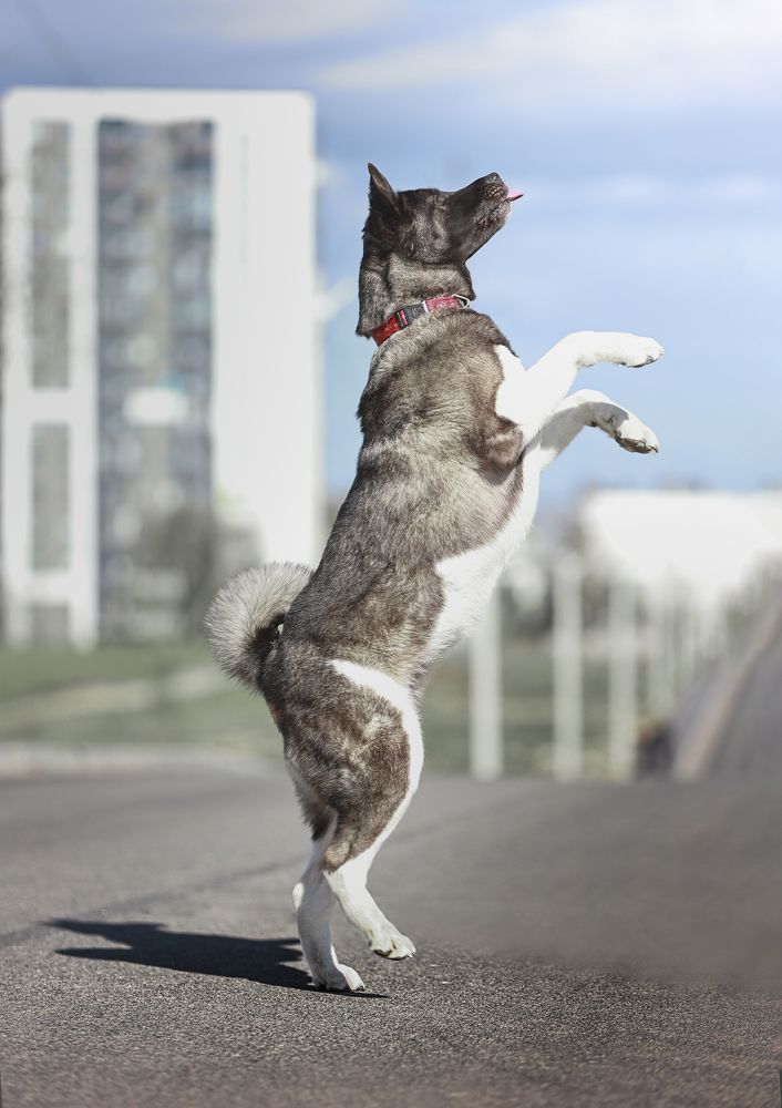 Photograph by Марина