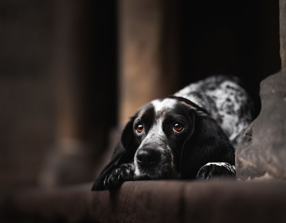 Photograph by Omica Meinen