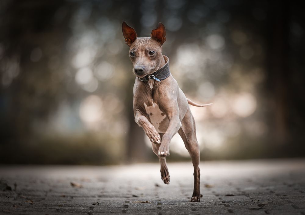 Photograph by Марина