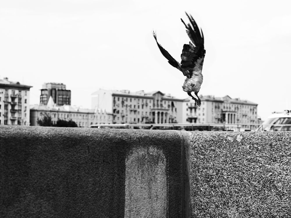 Photograph by Александр Луппов