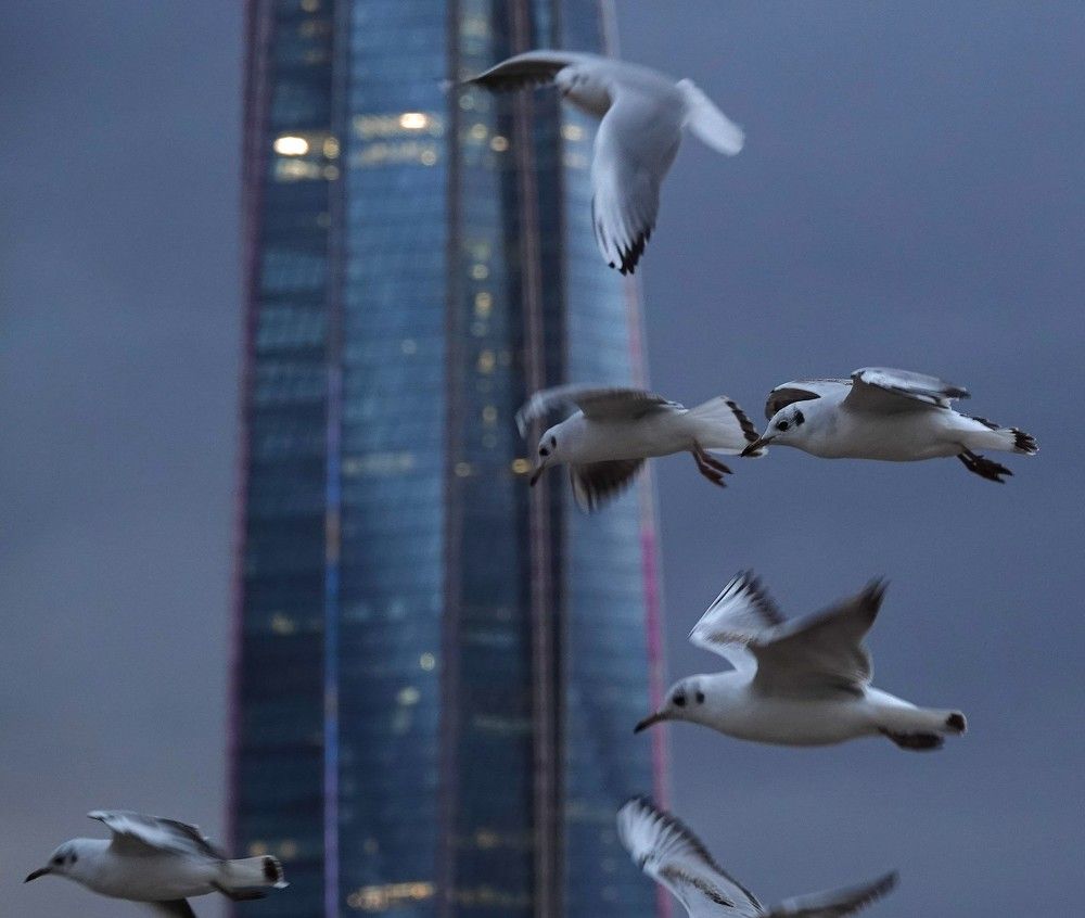 Photograph by Zakharov Matvey