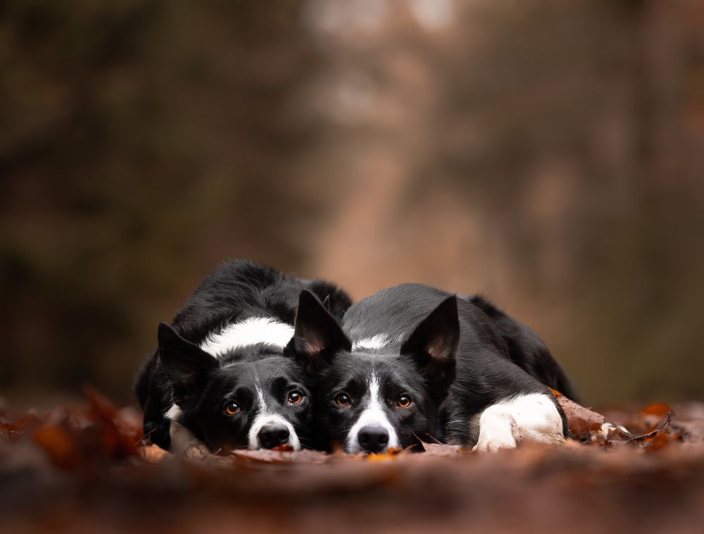 Photograph by Omica Meinen