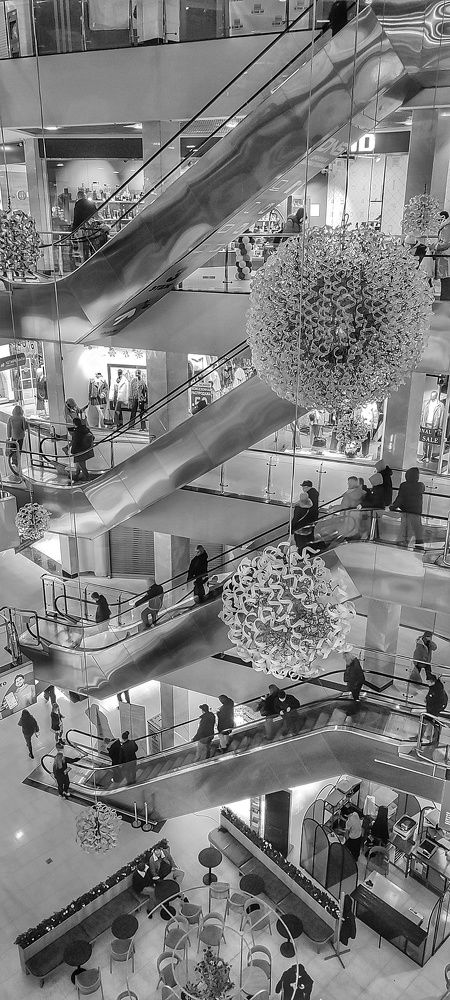 Photograph by Shved315