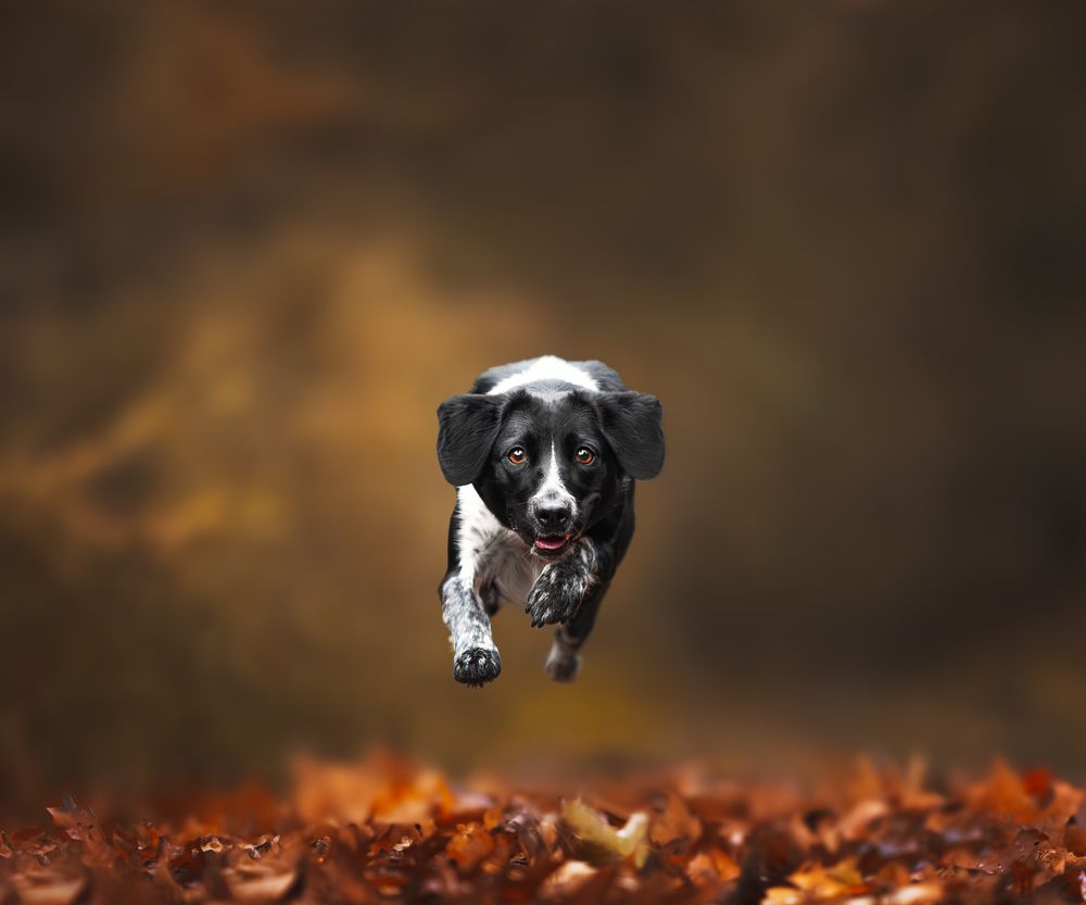 Photograph by Omica Meinen