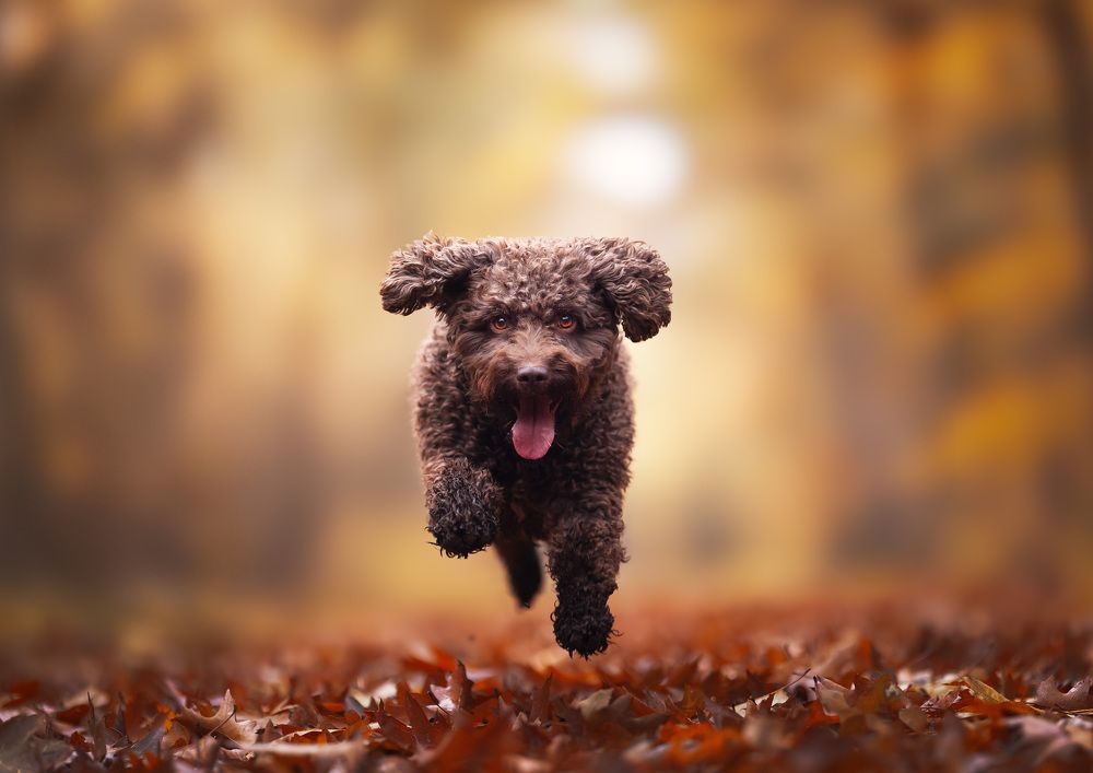 Photograph by Omica Meinen