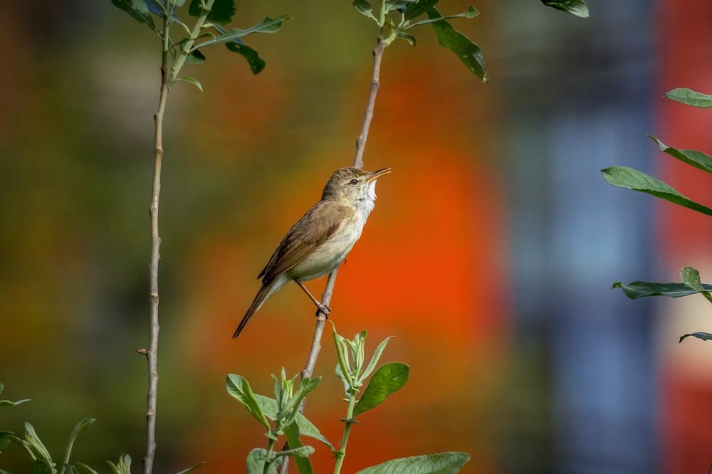 Photograph by Сергей Алексеев