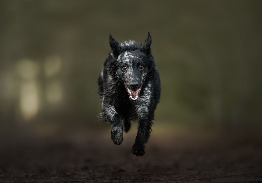 Photograph by Omica Meinen