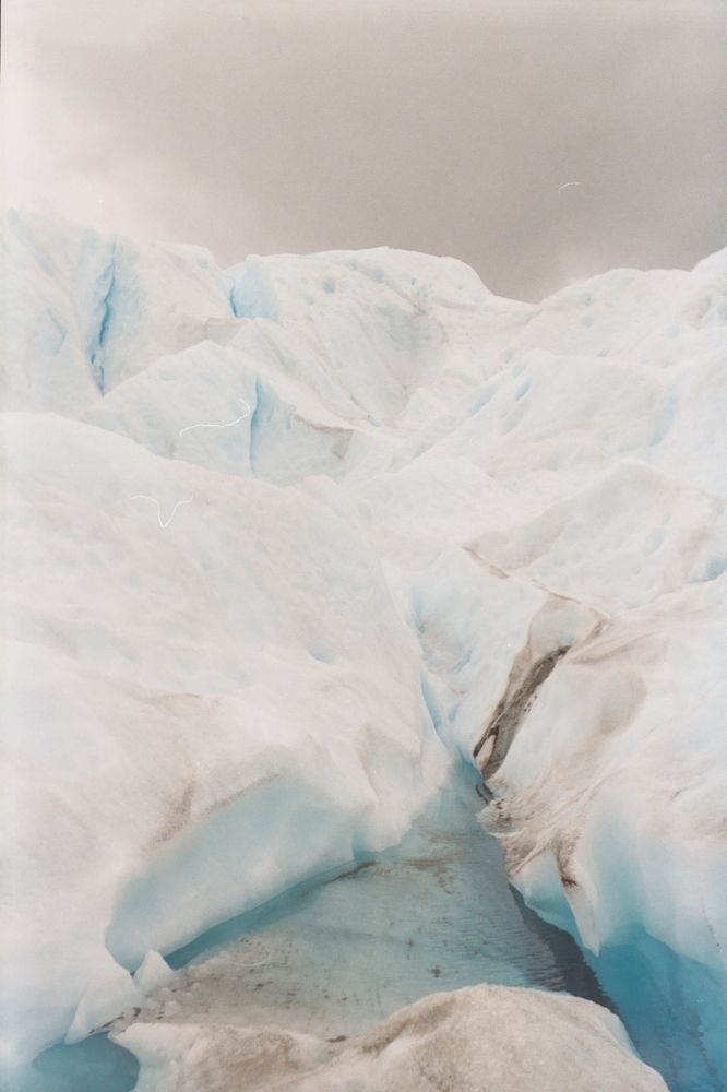 Photograph by Antonella