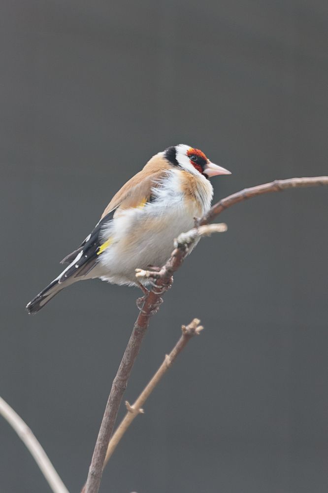 Photograph by виктор ковчин