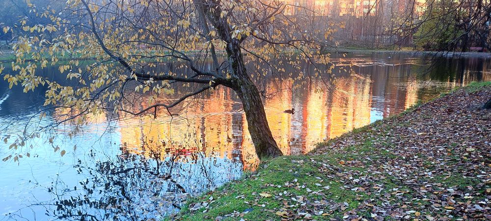 Photograph by Миша Автократов